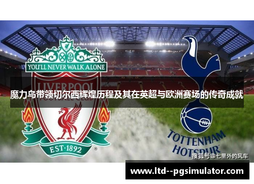 魔力鸟带领切尔西辉煌历程及其在英超与欧洲赛场的传奇成就