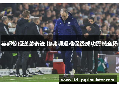 英超惊现逆袭奇迹 埃弗顿艰难保级成功震撼全场